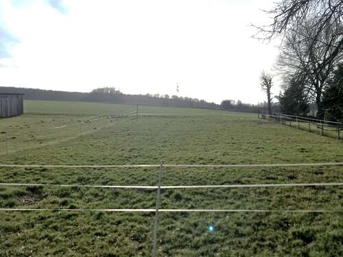 Foto - Grundstück zu verkaufen in Uslar-Schönhagen 59.000,00 € 810 m²