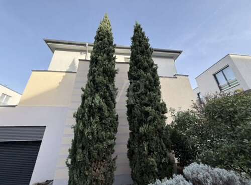 Foto - Wohnung zum Kaufen in Mannheim-Oststadt 1.099.000,00 € 120 m²