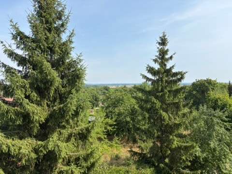Foto - Wohnung zum Mieten in Seelow 470,00 € 85.6 m²