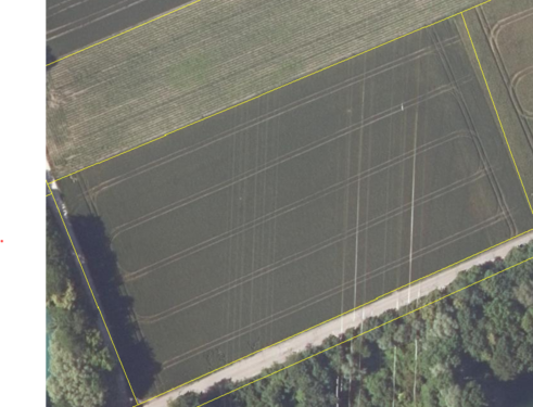 Foto - Grundstück in Moosinning 230.000,00 € 10017 m²