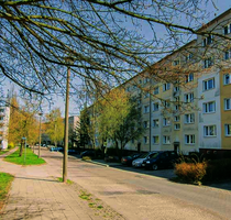 Wohnung zum Mieten in Prenzlau 410,00 € 60.8 m²