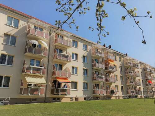 Foto - Wohnung zum Mieten in Wurzen 395,00 € 60.45 m²
