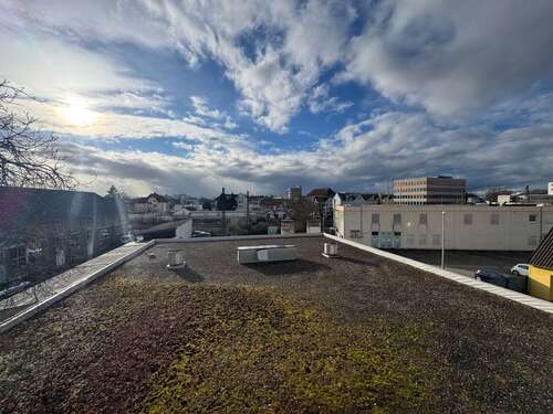 Foto - Wohnung zum Mieten in Frankenthal 450,00 € 50 m²