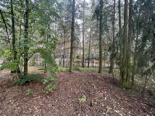 Foto - Grundstück zu verkaufen in Beelitz Fichtenwalde 150.000,00 € 1147 m²