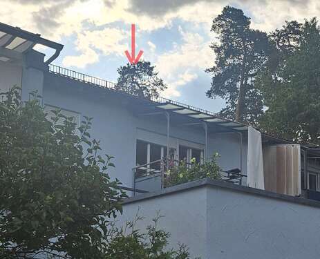 Foto - Wohnung zum Kaufen in Waldkraiburg 183.500,00 € 60 m²