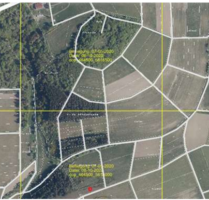Grundstück zu verkaufen in Bischoffen 12.000,00 € 1710 m²