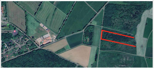 Foto - Grundstück zu verkaufen in Ulrichstein 45.000,00 € 14390 m²