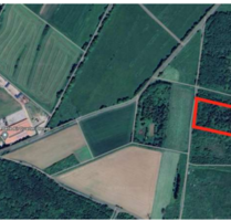 Grundstück zu verkaufen in Ulrichstein 45.000,00 € 14390 m²