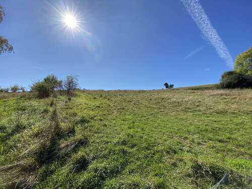 Foto - Haus zum Kaufen in Anschau-Mimbach 595.000,00 € 386 m²