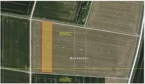 Foto - Grundstück zu verkaufen in Pohlheim 23.000,00 € 3796 m²