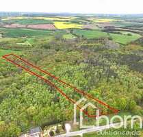 Grundstück in Gösen 35.000,00 € 24085 m²