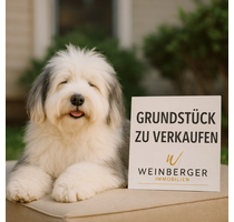 Grundstück zu verkaufen in Solingen 125.000,00 € 216 m²