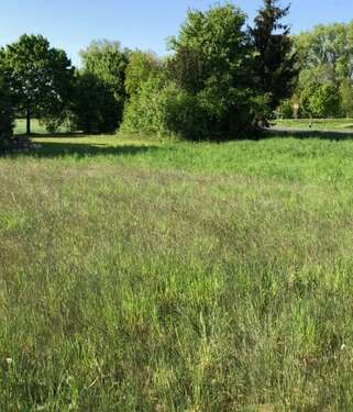 Foto - Grundstück zu verkaufen in Seßlach 67.000,00 € 740 m²