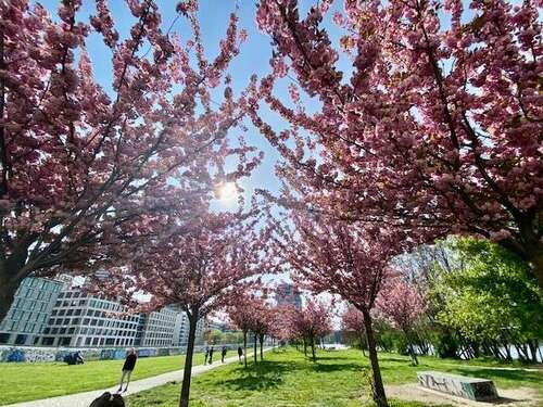 Foto - Wohnung zum Mieten in Berlin 1.450,61 € 63.07 m²