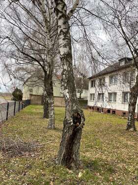 Foto - Wohnung zum Mieten in CalbeSaale 350,00 € 55 m²