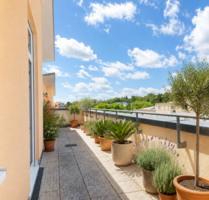 Wohnung zum Mieten in Wiesbaden 1.350,00 € 121.26 m²