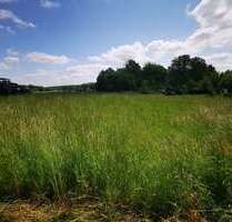 Grundstück zum Mieten in Ottendorf-Okrilla 3.877,38 € 1136 m²