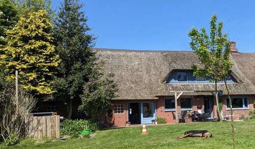 Foto - Haus zum Kaufen in Langenhorn 229.000,00 € 182 m²