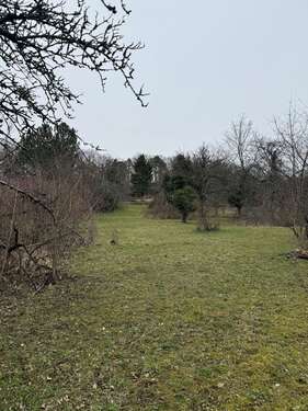 Foto - Grundstück zum Mieten in Grunbach 390,00 € 900 m²