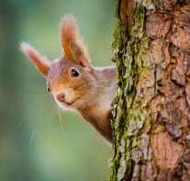 Grundstück zu verkaufen in Oberschleißheim 179.500,00 € 718 m² Grundstück zu verkaufen in Oberschleißheim 179.500,00 € 718 m²