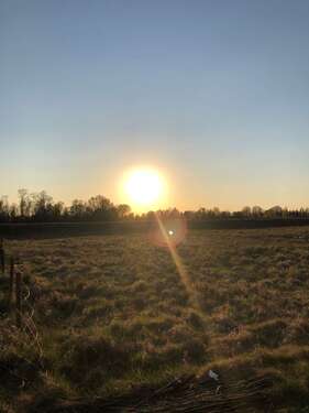 Foto - Grundstück zu verkaufen in Feldgeding 599.000,00 € 657 m²