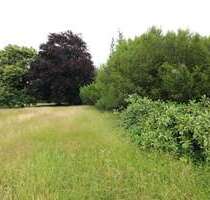 Grundstück zu verkaufen in Limbach 75.000,00 € 1181 m²