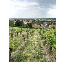 Haus zum Kaufen in Guntersblum 295.000,00 € 250 m²