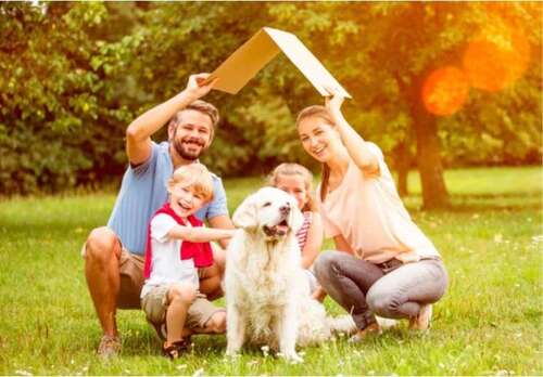 Foto - Grundstück zu verkaufen in Nettersheim 84.150,00 € 765 m²