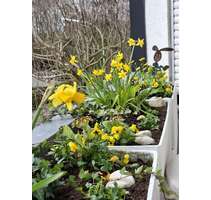 Wohnung zum Mieten in Friedrichsdorf-Burgholzh. 620,00 € 51 m²