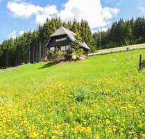 Haus zum Kaufen in Titisee-Neustadt 749.000,00 € 101 m²