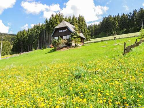 Foto - Haus zum Kaufen in Titisee-Neustadt 749.000,00 € 101 m²