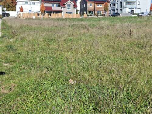 Foto - Grundstück zu verkaufen in Schönaich 440.000,00 € 442 m²