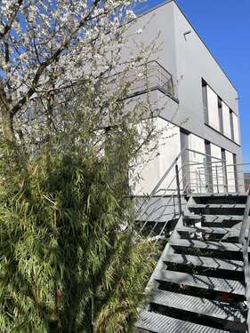 Foto - Wohnung zum Kaufen in Bammental 599.000,00 € 122 m²