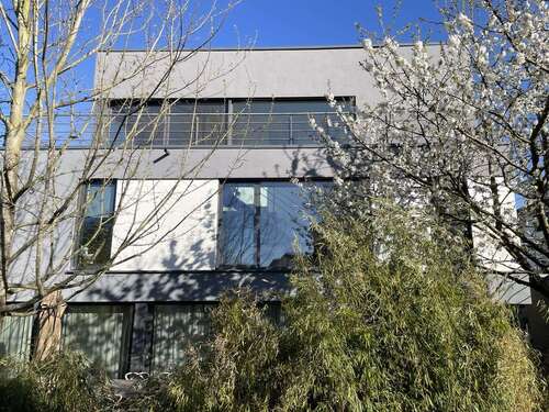 Foto - Wohnung zum Kaufen in Bammental 560.000,00 € 122 m²