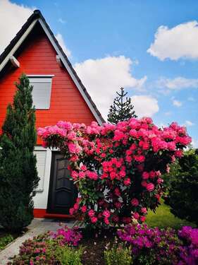 Foto - Haus zum Kaufen in Mengerskirchen 239.000,00 € 57.13 m²