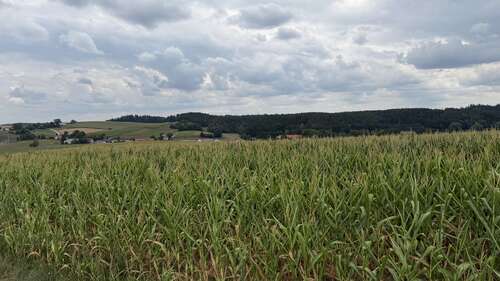 Foto - Grundstück in Pleiskirchen 699.000,00 € 26941 m²