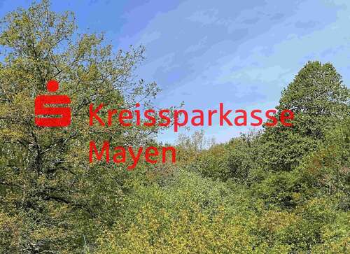 Foto - Grundstück zu verkaufen in Mayen 189.000,00 € 1176 m²