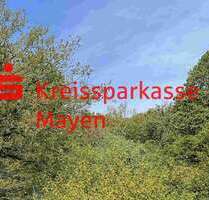 Grundstück zu verkaufen in Mayen 189.000,00 € 1176 m²
