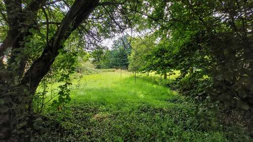 Foto - Grundstück zu verkaufen in Windeck Geilhausen 65.000,00 € 1039 m²