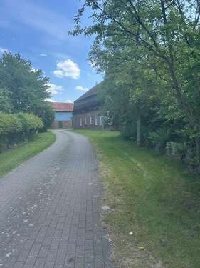 Foto - Spezialgewerbe in Bark 480.000,00 € 1000 m²