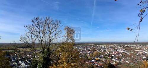 Foto - Grundstück zu verkaufen in Weingarten 399.000,00 € 683 m²