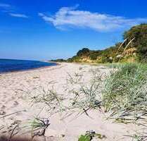 Haus zum Kaufen in Nordwestmecklenburg - Landkreis - Dassow 450.000,00 € 360 m²