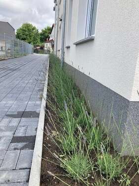 Foto - Garage zu vermieten in Königs Wusterhausen 40,00 €