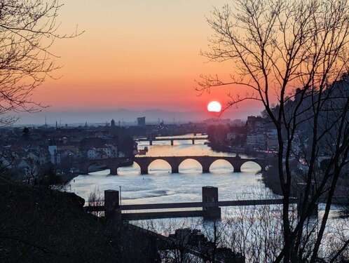 Foto - Haus zum Mieten in Heidelberg 8.000,00 € 360 m²