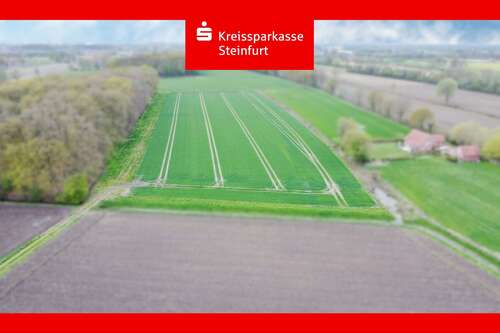 Foto - Spezialgewerbe in Nordwalde 447.000,00 €