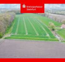 Spezialgewerbe in Nordwalde 447.000,00 €