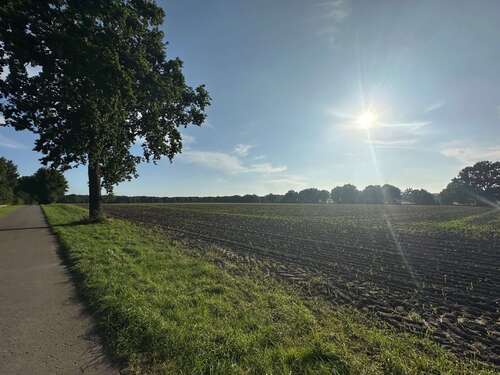Foto - Haus zum Kaufen in Toppenstedt 525.000,00 € 206 m²