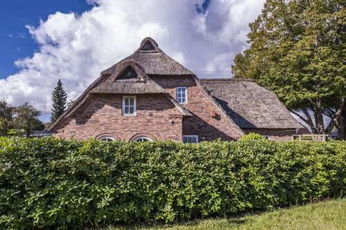 Foto - Haus zum Kaufen in Fahrdorf 595.000,00 € 280 m²