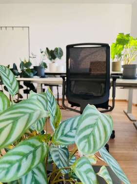 Foto - Büro in München 750,00 € 10 m² - 750,00 EUR Kaltmiete, ca.  10,00 m²