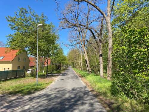 Foto - Grundstück zu verkaufen in Ludwigsfelde 250.000,00 € 997 m²